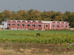 The-Hostel