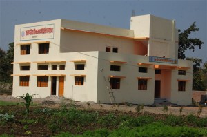The-School