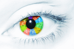vision