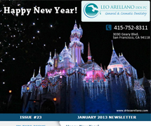  - January 2013 Newsletter