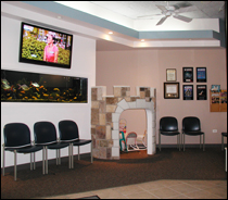 Find a Dentist in Chicago - Reception Room in big smile dental