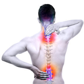 Spine Pain 