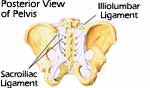 Health Risk Assessment Portland - Pelvis Joints