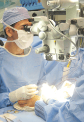 Dr Dennis Dass, MD Microvascular surgery