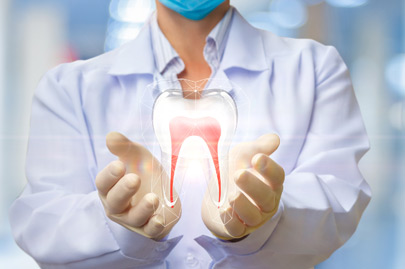 The doctor supports the teeth