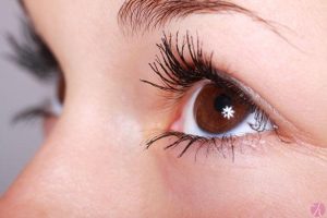 Eyebrow Picture