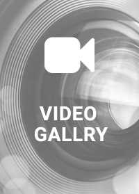 Video Gallery