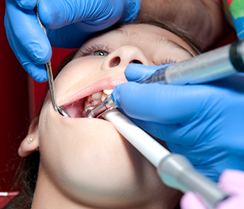Importance of the CEREC procedure for Phoenix patients