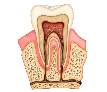 Phoenix AZ dentist explains a pulpotomy