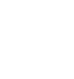 Icon Flower