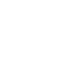 Icon Scan