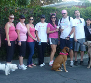 Redlands Dental - Believe Walk 13