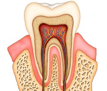 Where can patients get holistic root canal treatments in Hong Kong?