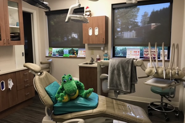Sona J. Isharani, DDS, Office Tour Client Exam Room 9